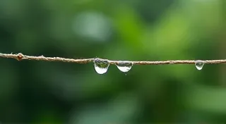 The Focusing Wheel's Philosophy: Patience, Precision, and the Writer's Craft